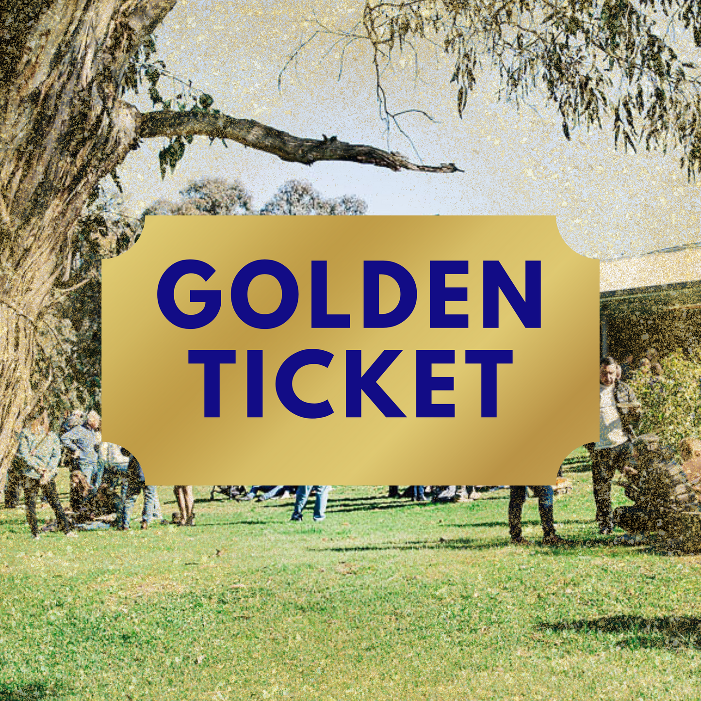 The Golden Ticket - REGENERATE Albury